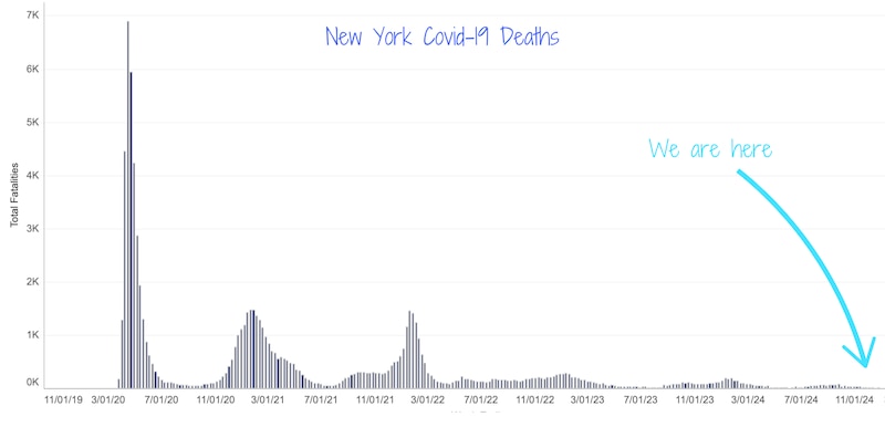 This graph shows New York Covid-19 deaths.