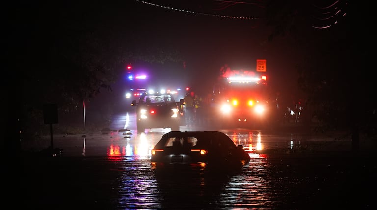 How to protect against NYC summer health threats: Floods, mosquitoes, and ticks