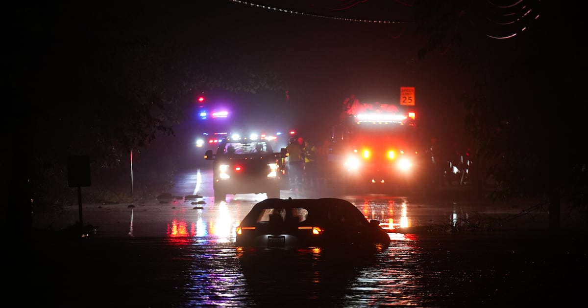 How to protect against NYC summer health threats: Floods, mosquitoes, and ticks