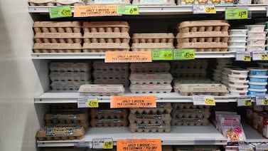 Trump’s immigration tactics obstruct efforts to avert bird flu pandemic, researchers say