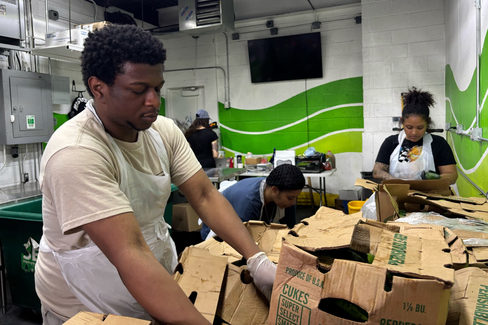 Workers sort cucumbers in boxes.