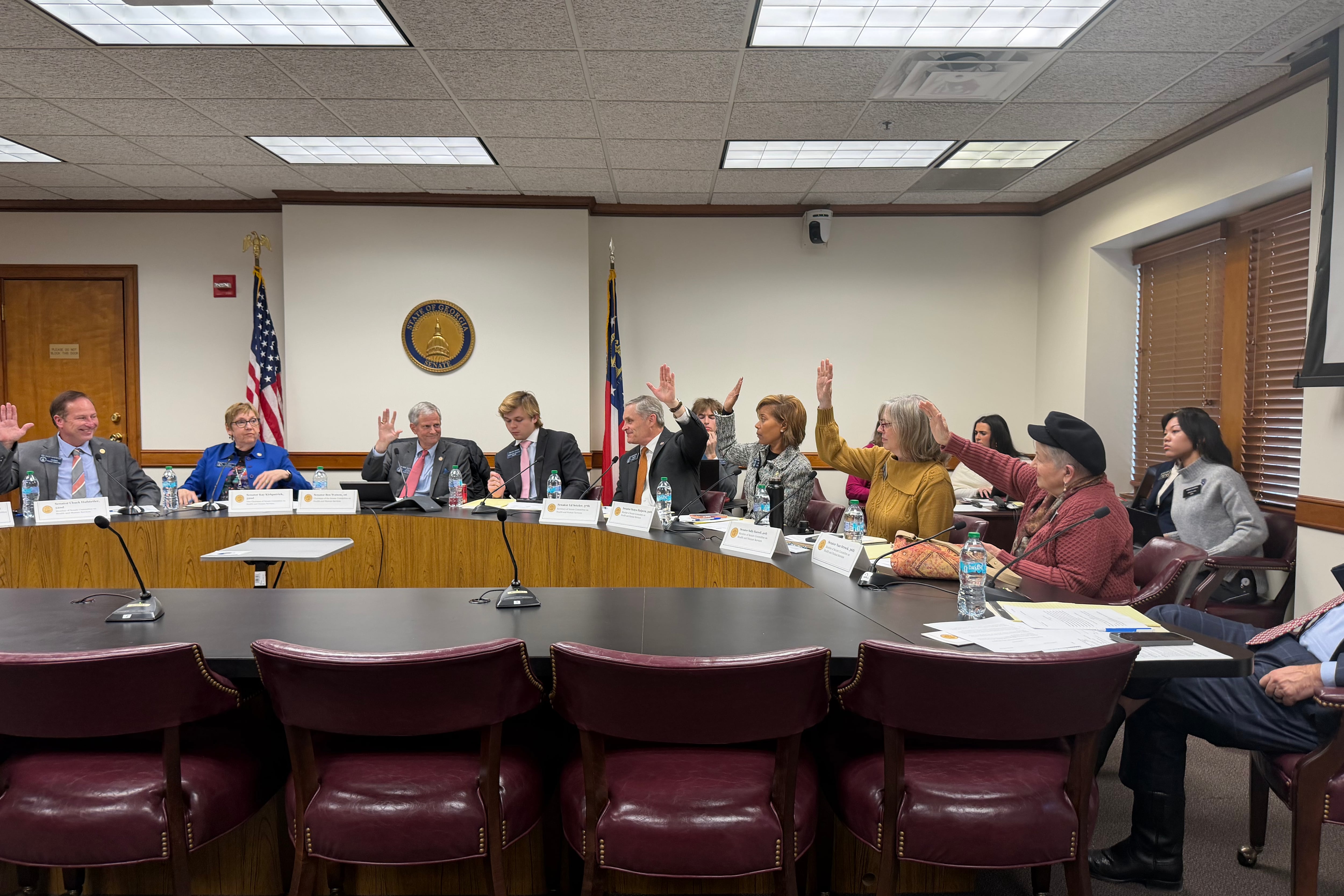 A group of state lawmakers raises their hand to vote as they are flanked by aides in a committee hearing room.