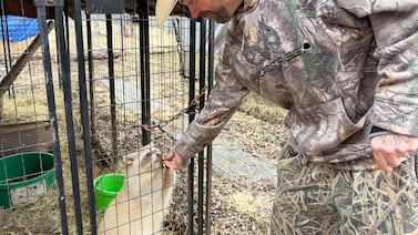 Millions of Americans are expected to drop their Affordable Care Act plans. They’re looking for a Plan B.