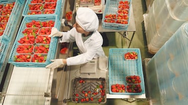 New Emory survey: Americans agree on public health priorities, trusted sources