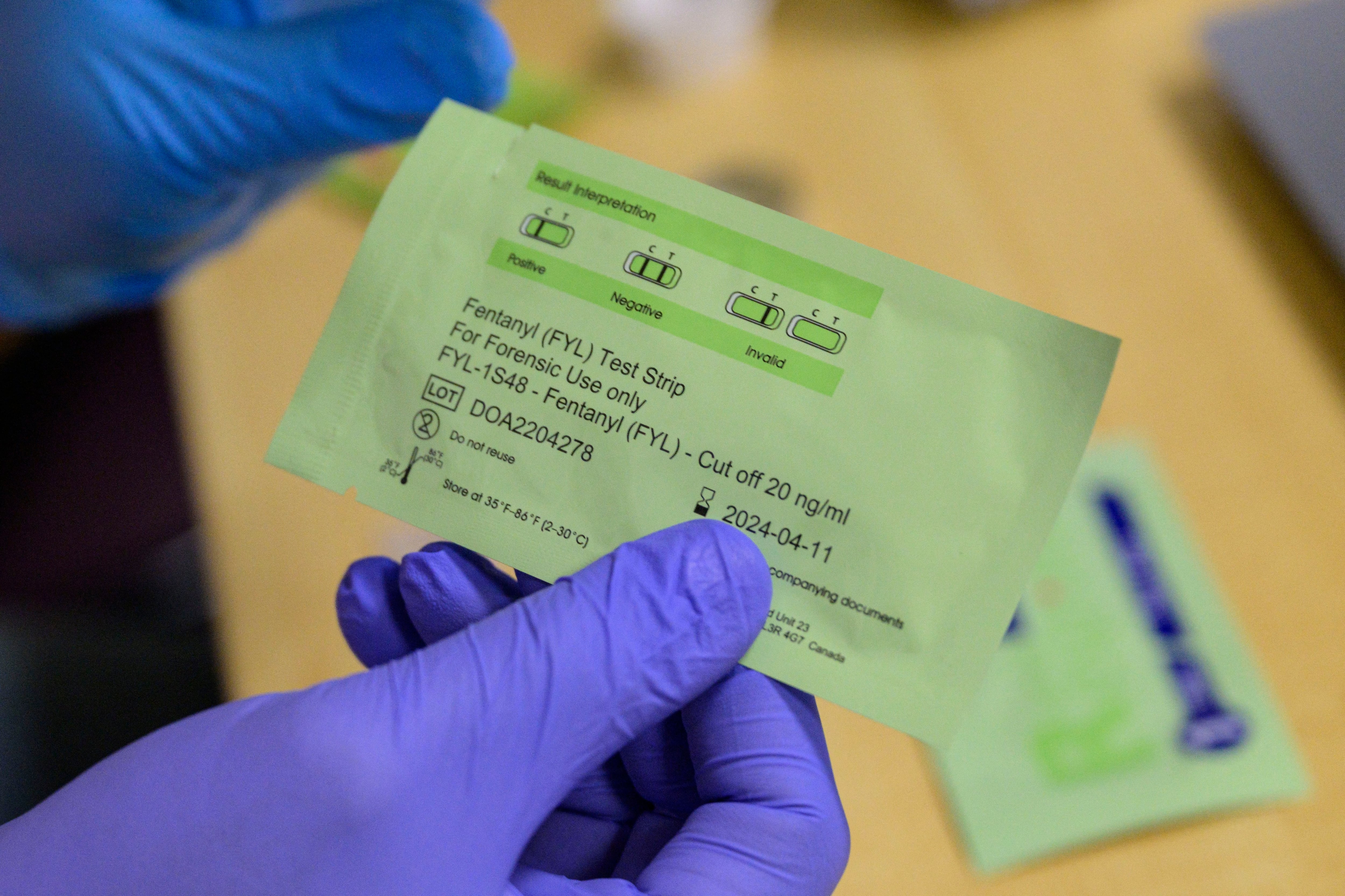 Hands wearing latex gloves hold a fentanyl test strip.