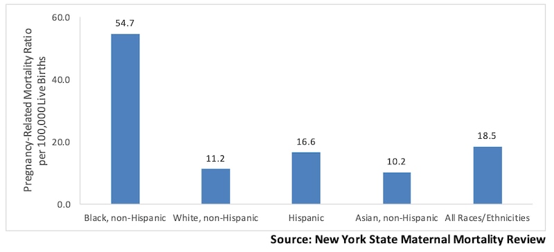 A bar chart shows pregnancy-related mortality ratios by race and ethnicity in New York.