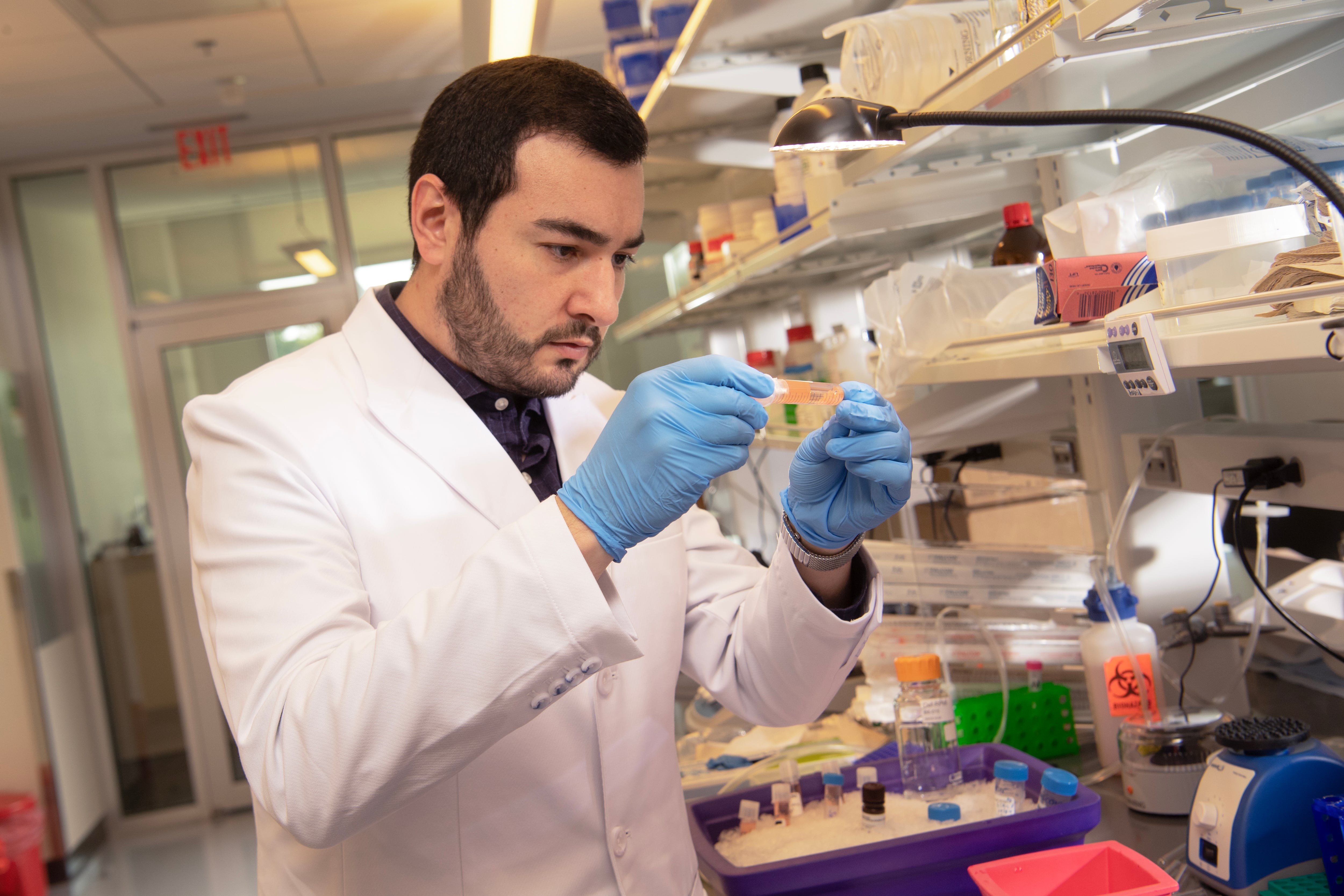 A scientist holds up a test tube in a lab.