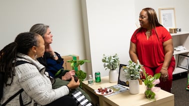 How community programs are working to ease New York’s maternal health crisis