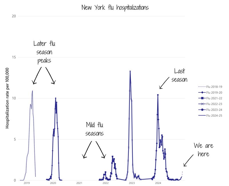 This line graph shows flu hospitalizations in New York.