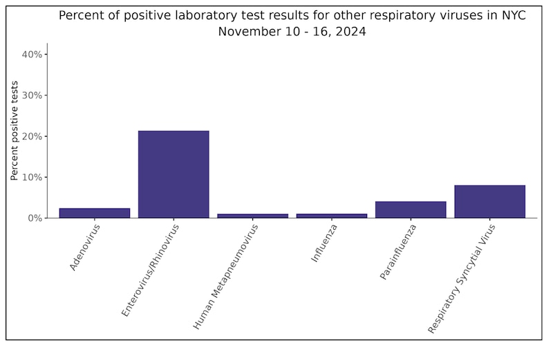 A bar chart shows New York City respiratory virus testing data from the Influenza and RSV Surveillance Report.