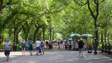 Climate change, urban heat island effect delay arrival of spring in NYC parks, researchers find