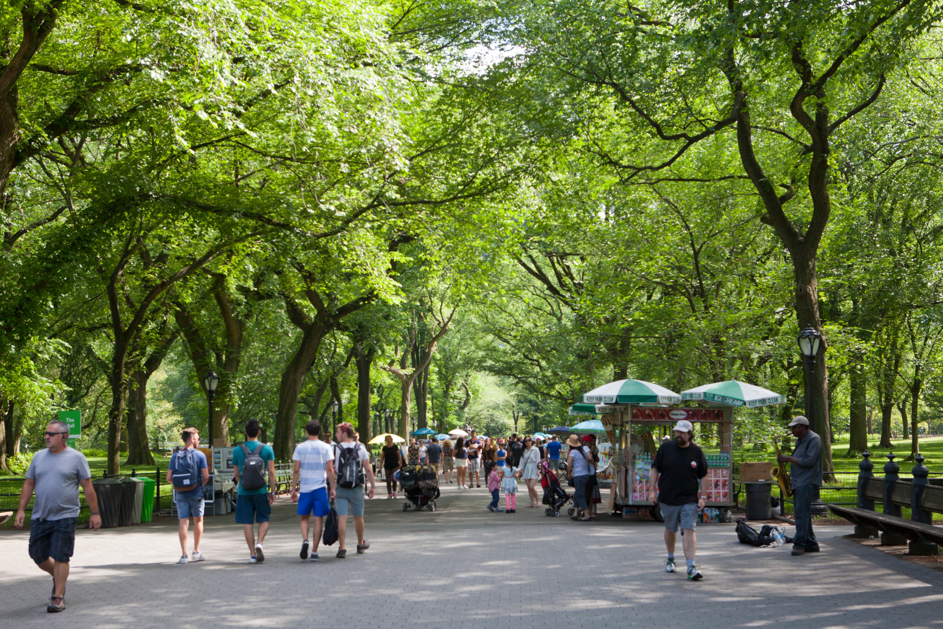 People walk under the trees in Central Park in New York City.