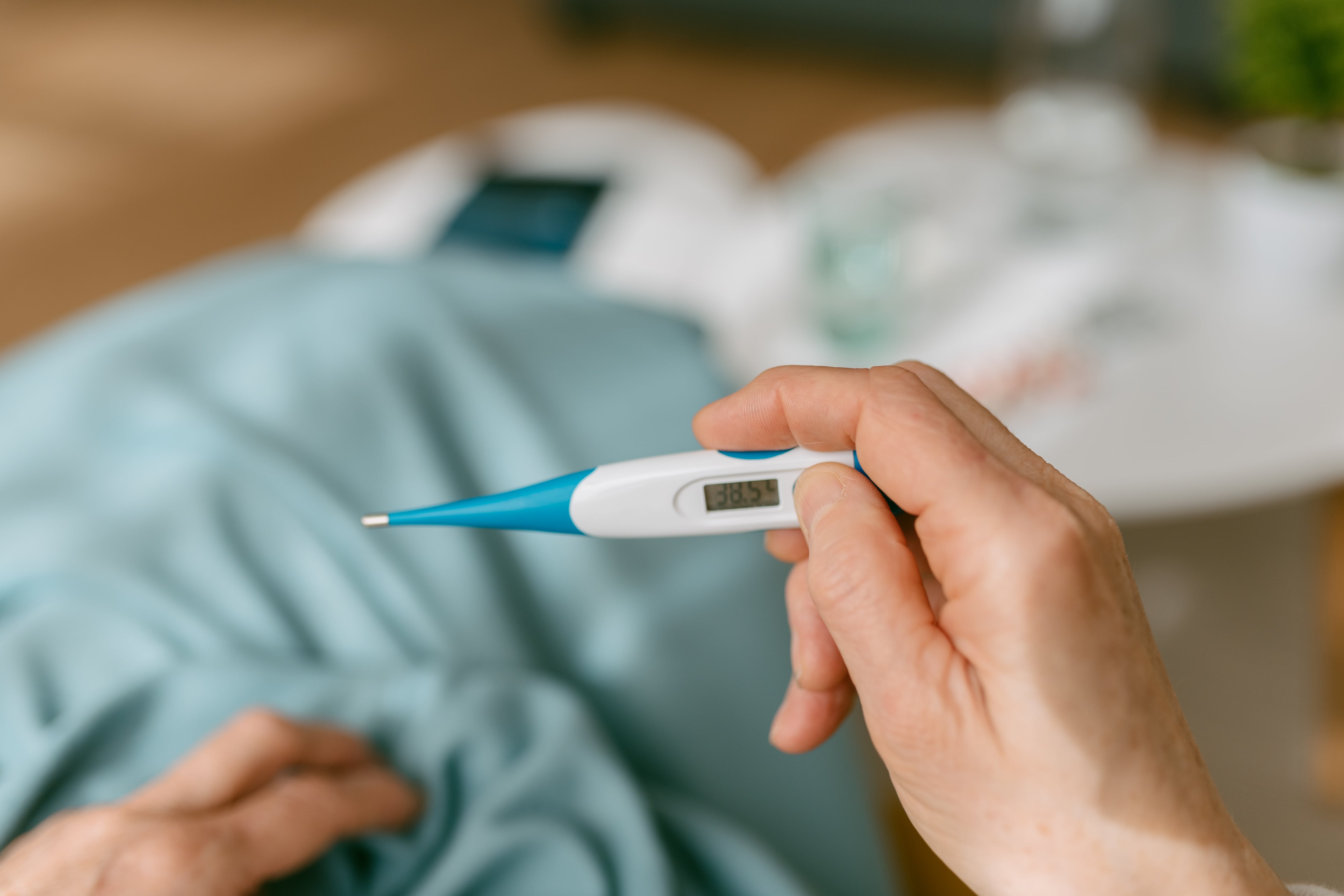 A hand holds a fever thermometer.