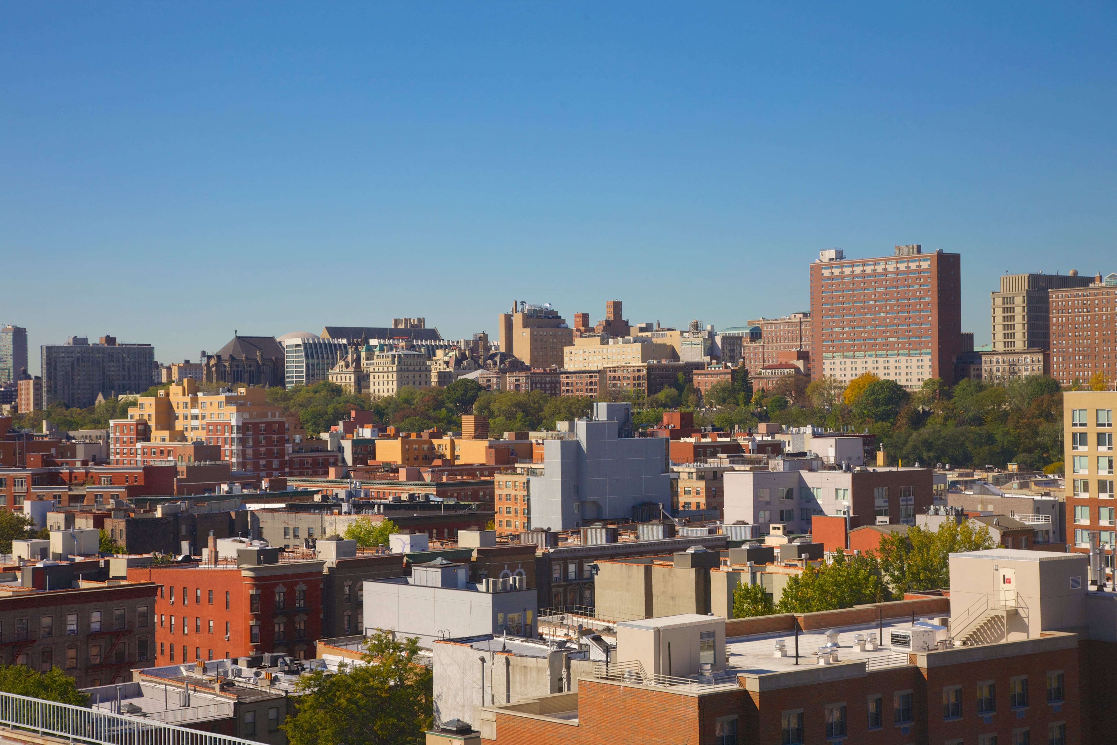 A distant view shows rooftops in Harlem.