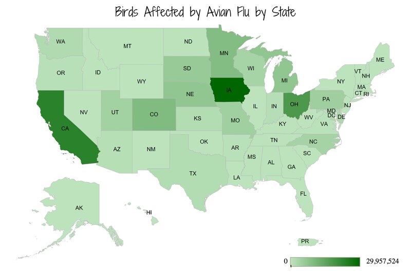 A map of the United States shows states where birds have been affected by avian flu.