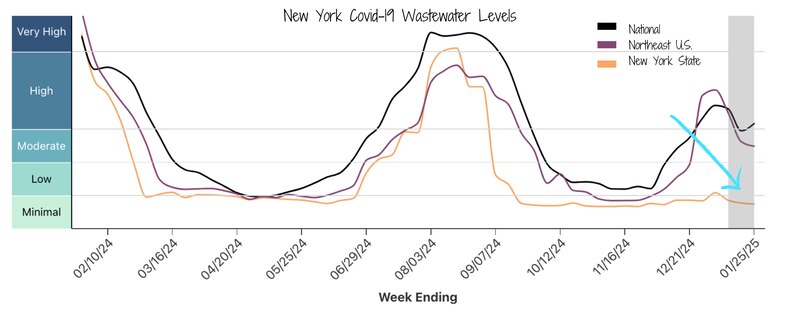 A line graph shows the concentrations of Covid in wastewater in New York state.