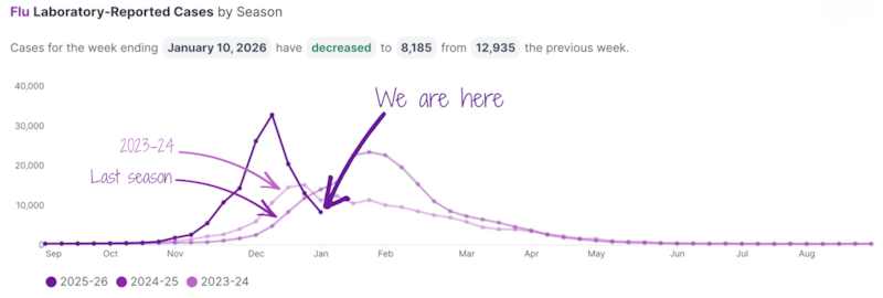 A line chart shows flu cases in New York City.