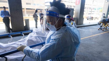 Bird flu isn’t an immediate health threat in New York — yet.