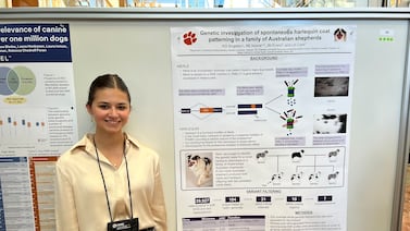 How my own medical mystery led to a career in scientific research