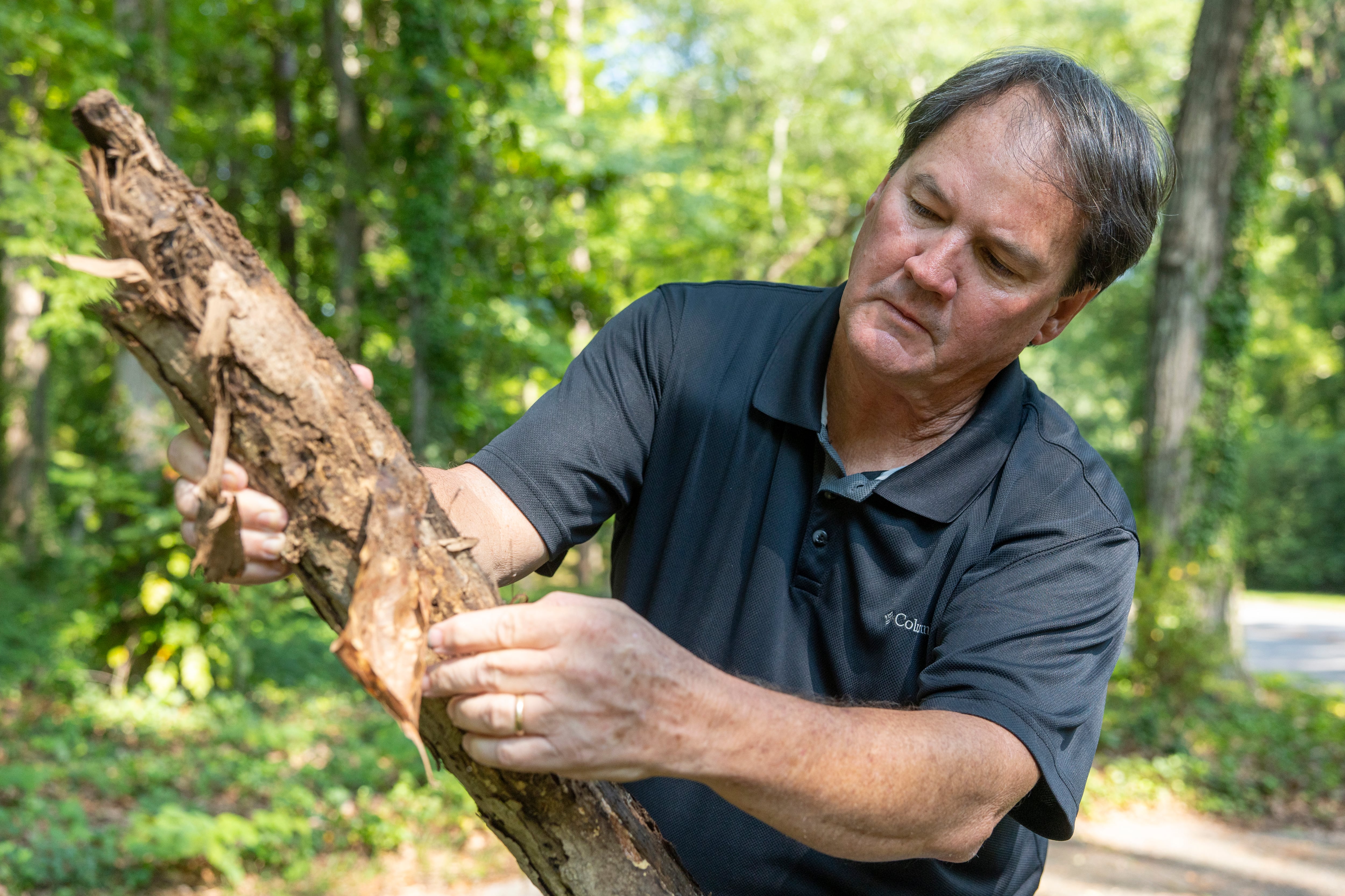 Dan Suiter picks up a log.