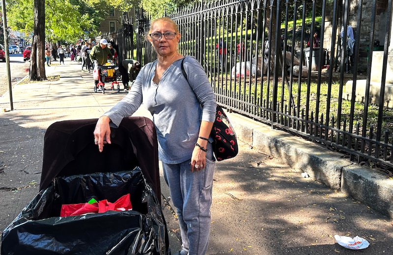 A woman leans on a cart next to a black wrought iron fence.