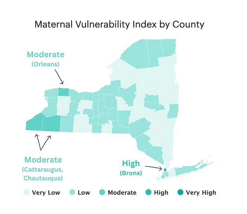 A map shows maternal vulnerability by county in New York.