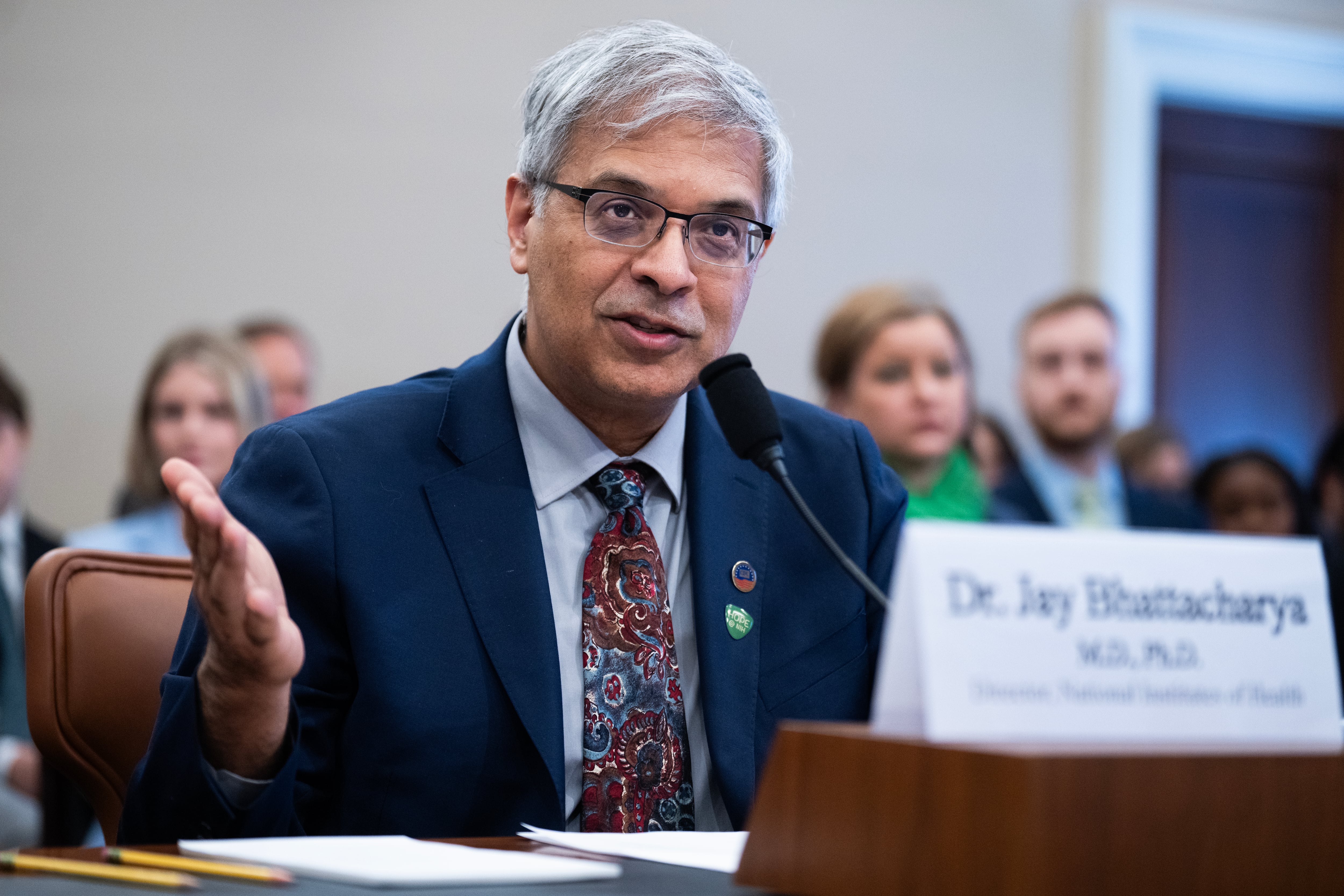 Jay Bhattacharya testifies in Congress.