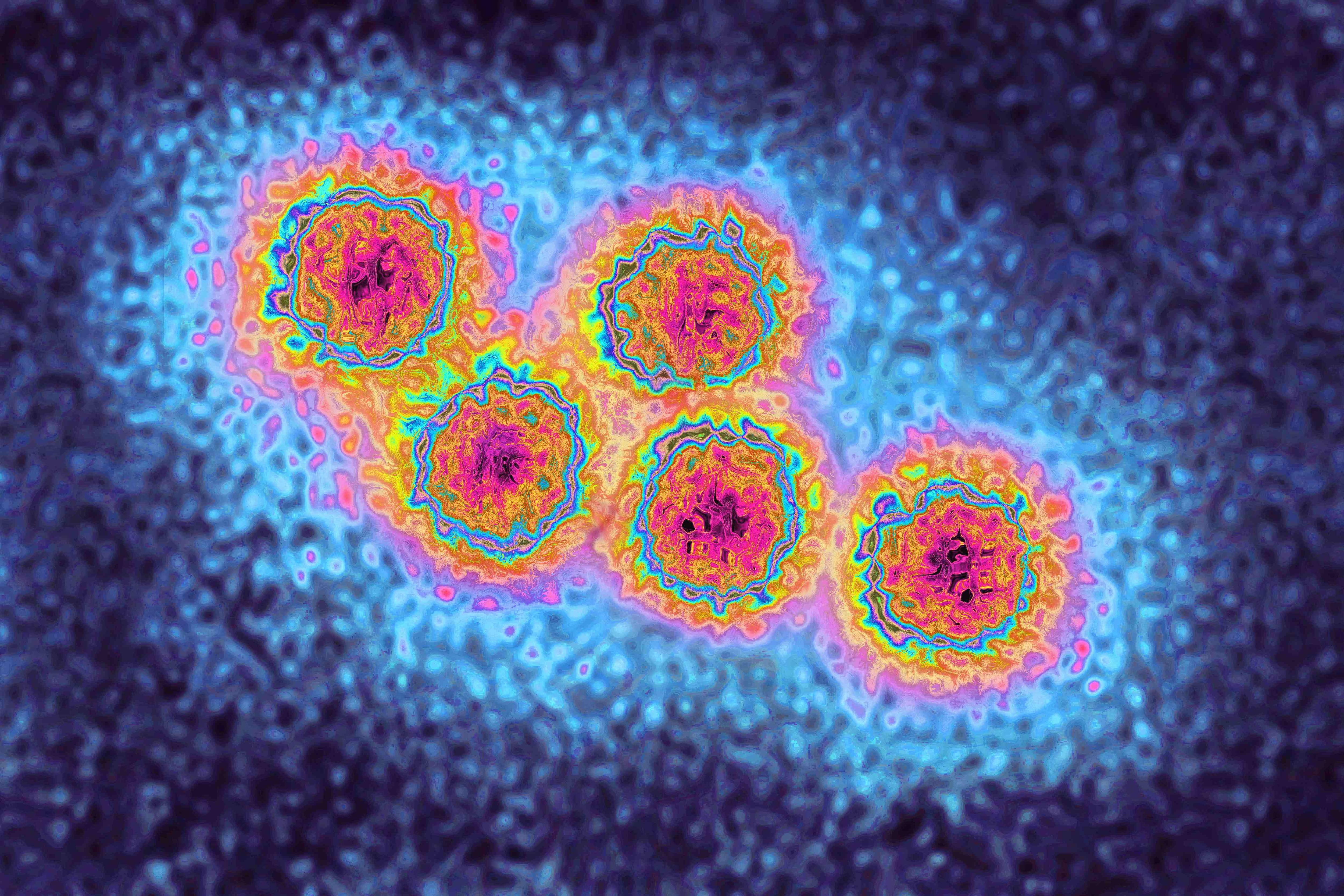 The hepatitis A virus as seen through a microscope.