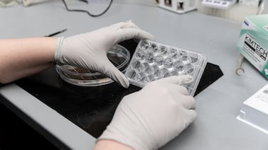 Trump policies at odds with emerging understanding of Covid’s long-term harm