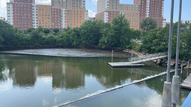 Why you shouldn’t frolic in NYC's local waterways after it rains