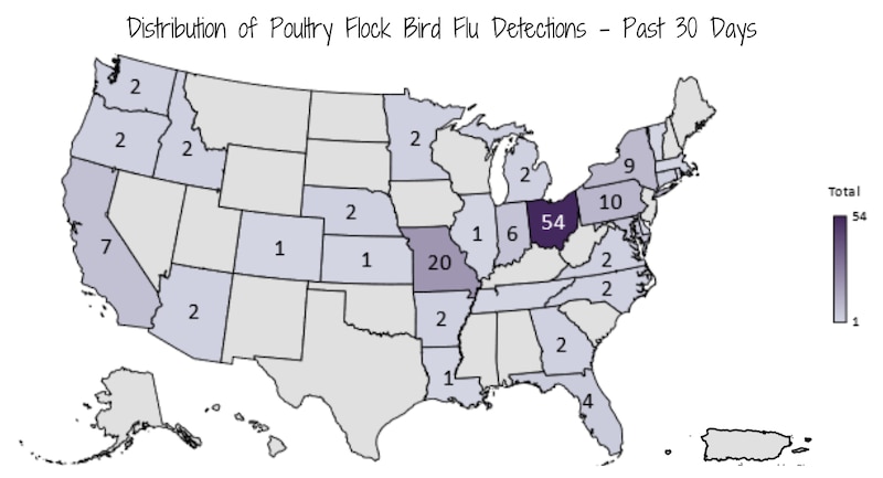 A map shows bird flu detections in poultry flocks.