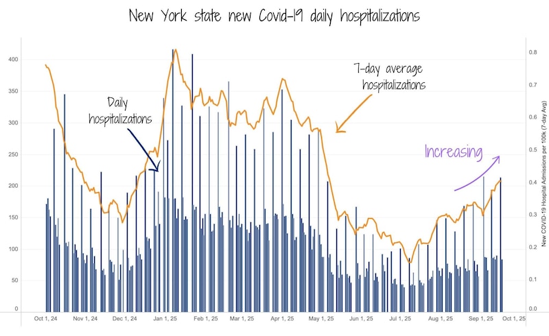 A chart shows New York state Covid daily hospitalizations.