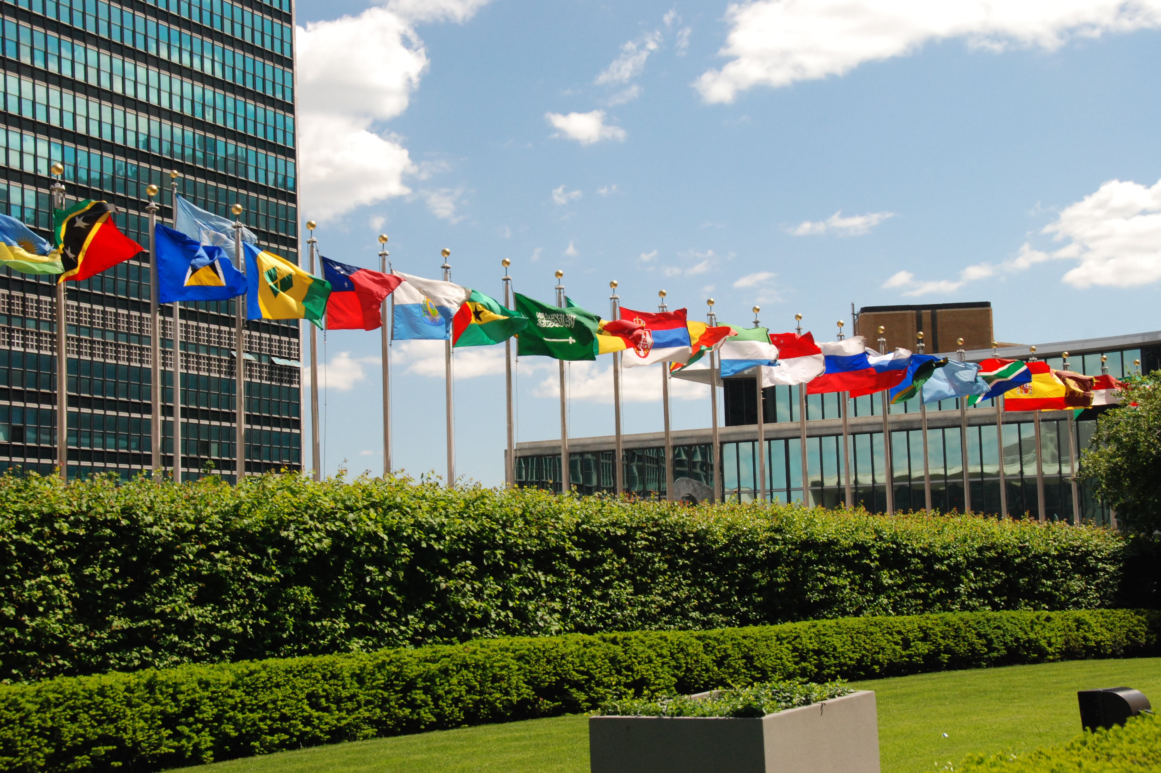 A group of flags fly outside the United Nations.