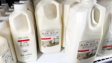RFK Jr. leads conservative embrace of raw milk. Regulators say it’s dangerous.