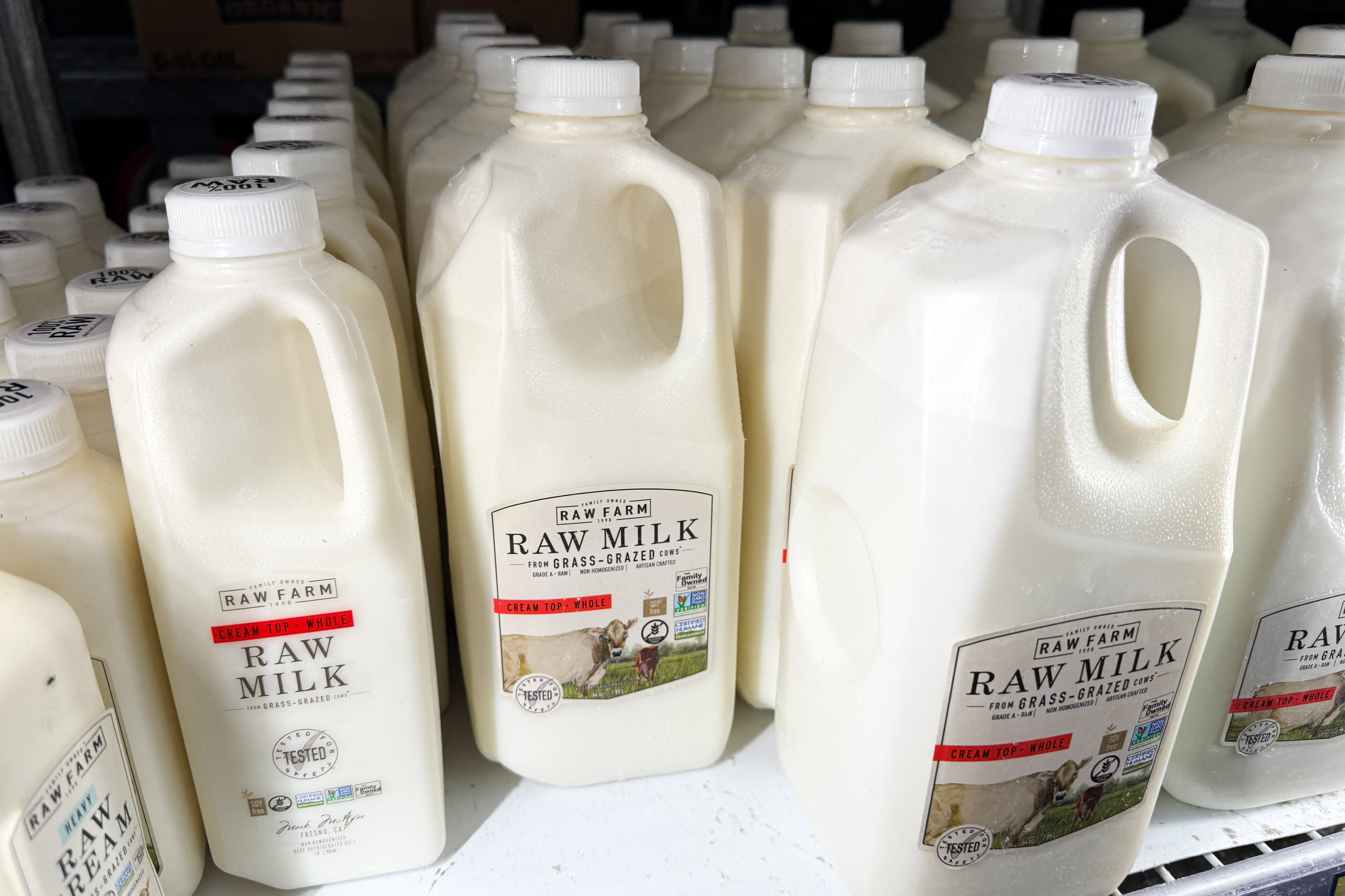 Half-gallon jugs of raw milk are on display at a grocery store.