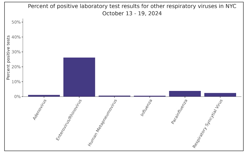 A graphic shows New York City respiratory virus testing data on influenza and RSV.