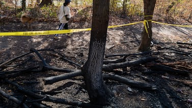 NYC, state officials issue drought warning as dry conditions persist