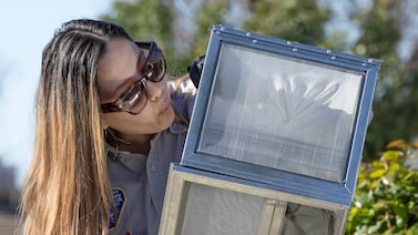 California dengue cases prompt swift response from public health officials