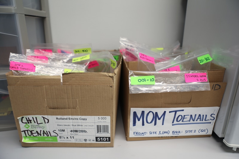 Samples are stored at boxes at the Queens College Stress in Pregnancy lab.