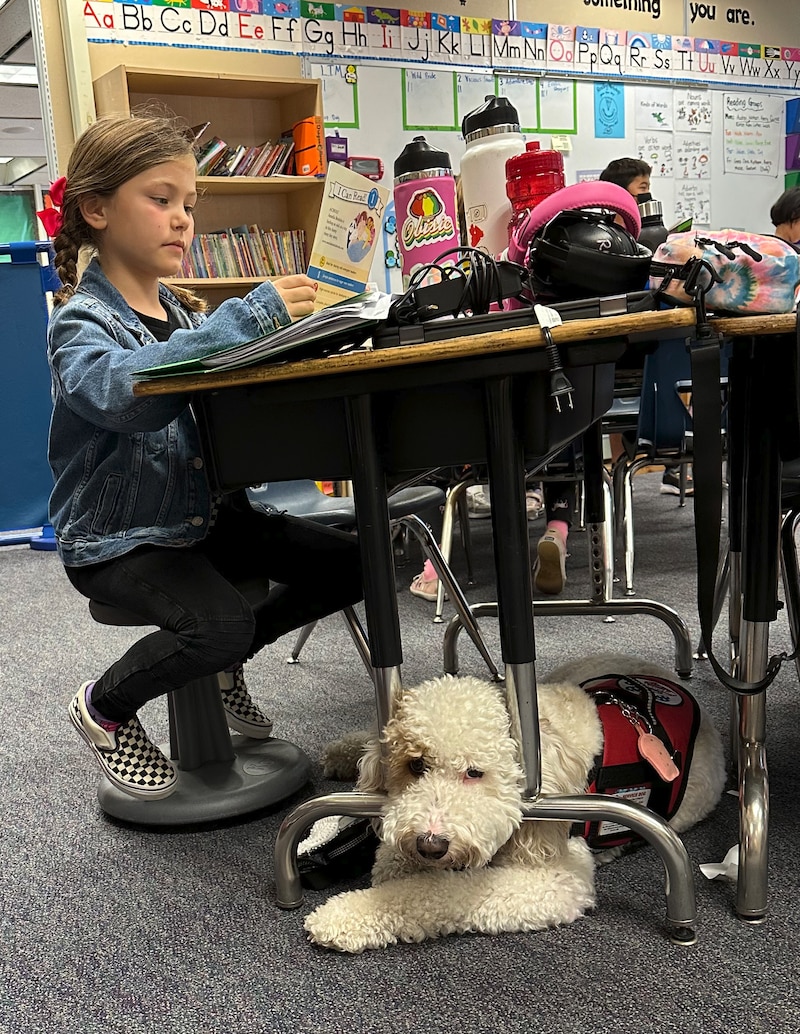 A girl sits with a dog under her desk in a school setting.