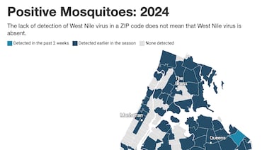 Summer is gone, but health risk of mosquitoes lingers in New York
