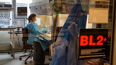 CDC measles data shed light on outbreaks Trump administration has done little to quash