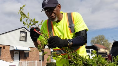 NYC tackles extreme heat with new trees planted in vulnerable neighborhoods