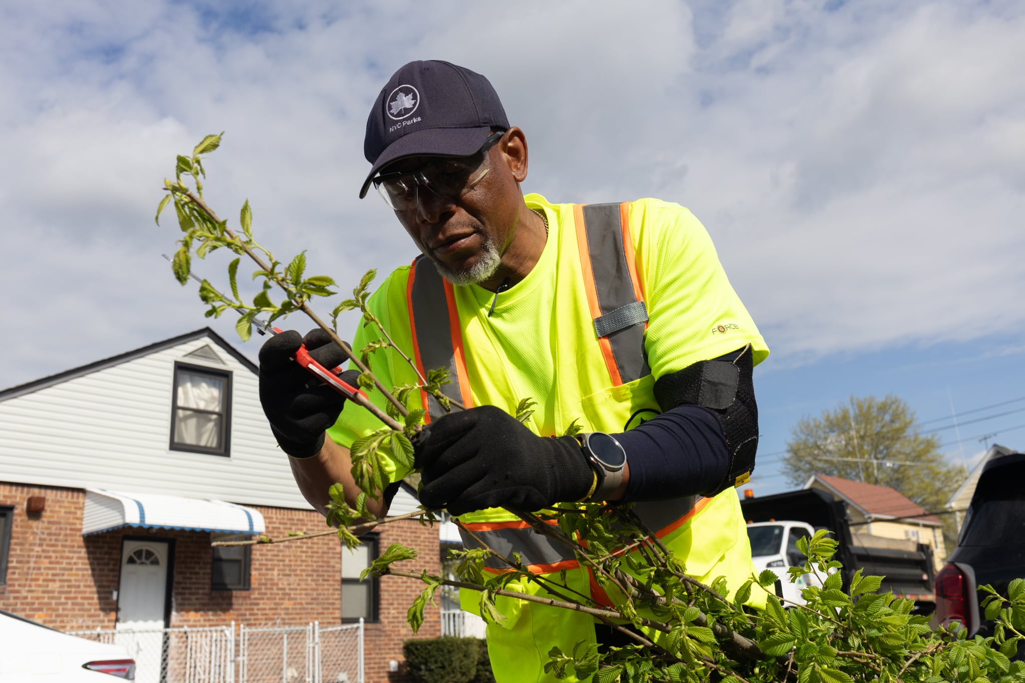 A parks worker prepares to plant a tree.