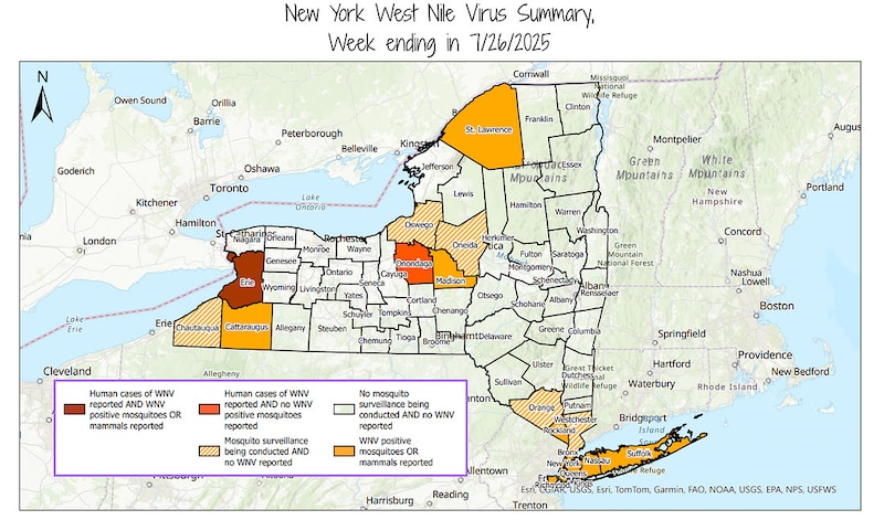 A map shows West Nile virus detections in New York.