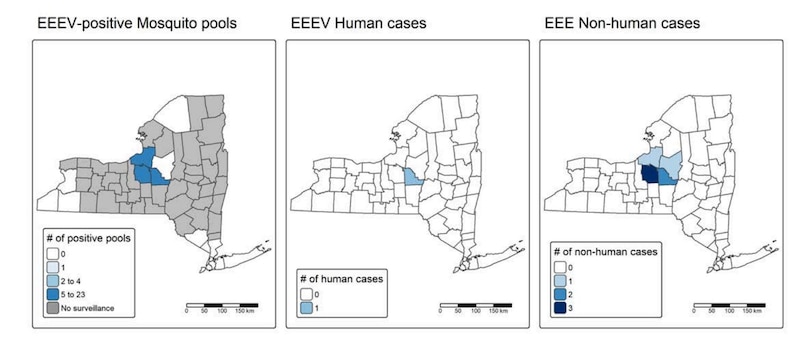 A map shows Eastern equine encephalitis virus detections in mosquitoes, humans, and animals.