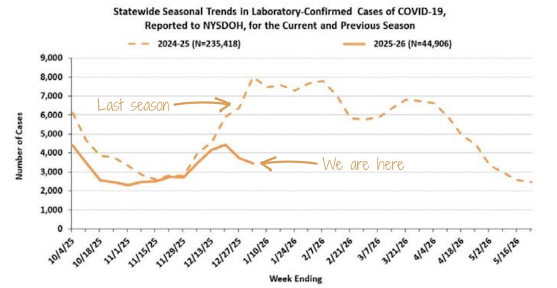 A line chart shows Covid cases in New York City.