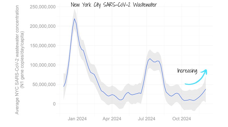 A line graph shows New York City Covid wastewater concentrations.