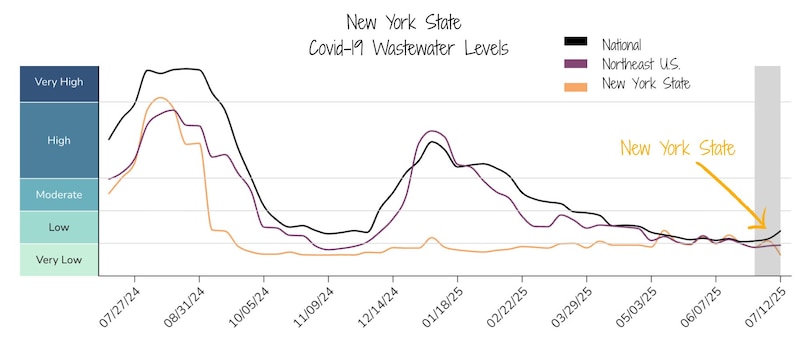 This line graph shows wastewater Covid-19 concentrations in New York state.