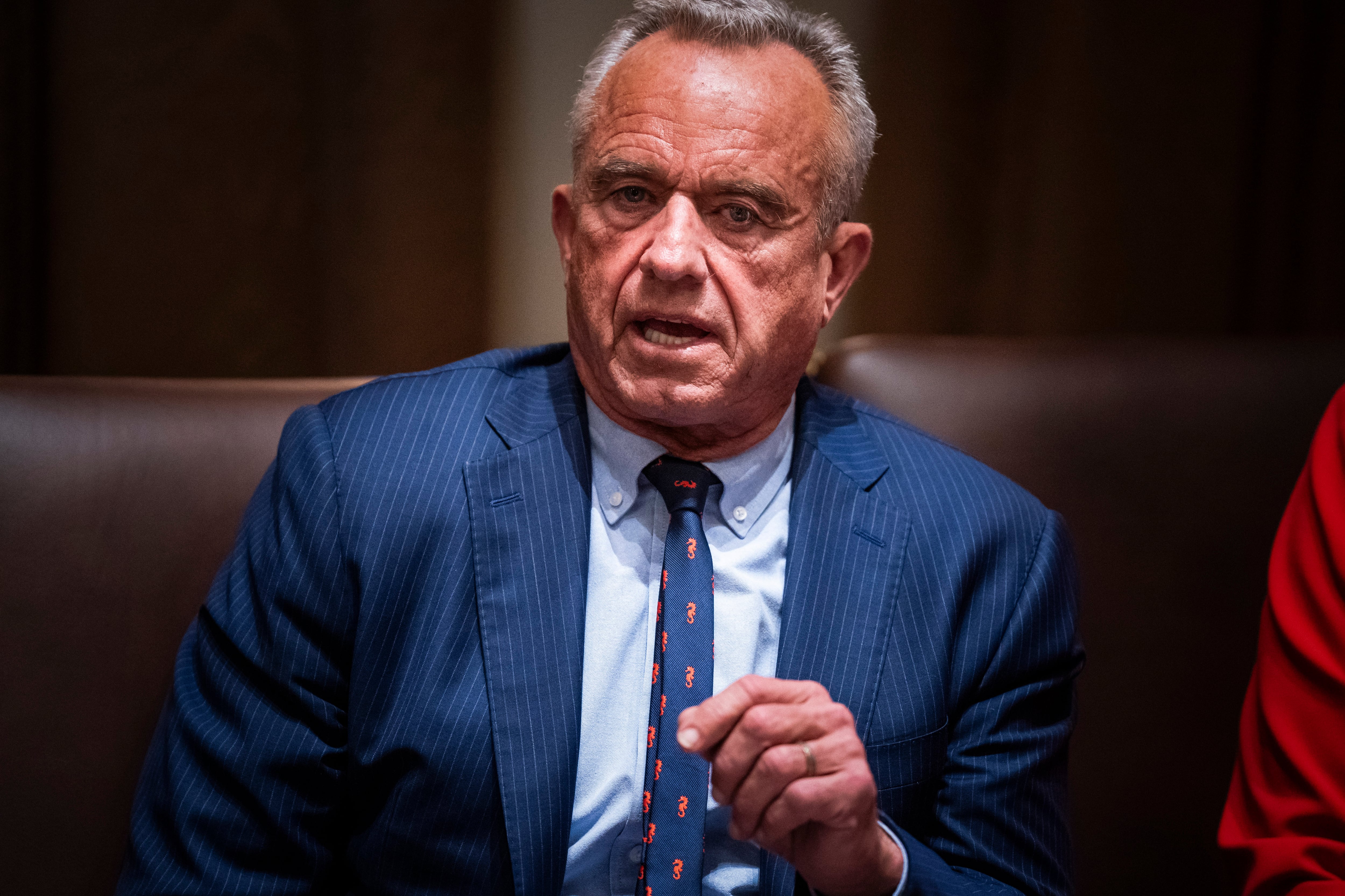 Health and Human Services Secretary Robert F. Kennedy Jr. speaks during a cabinet meeting.